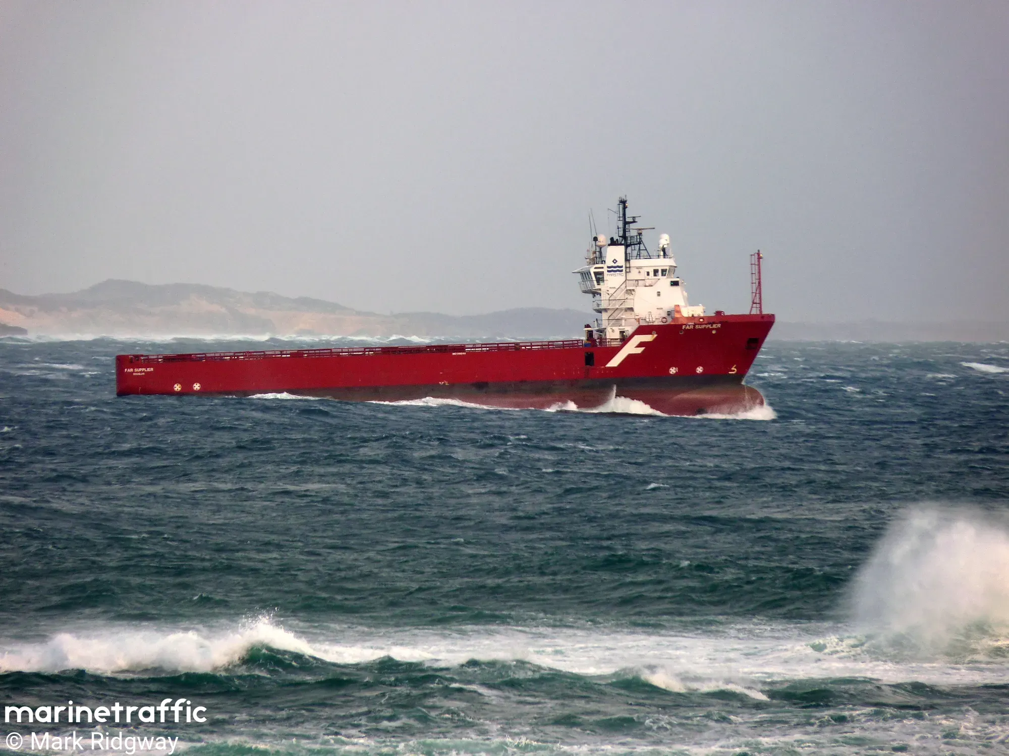 SEA MEADOW 22 10