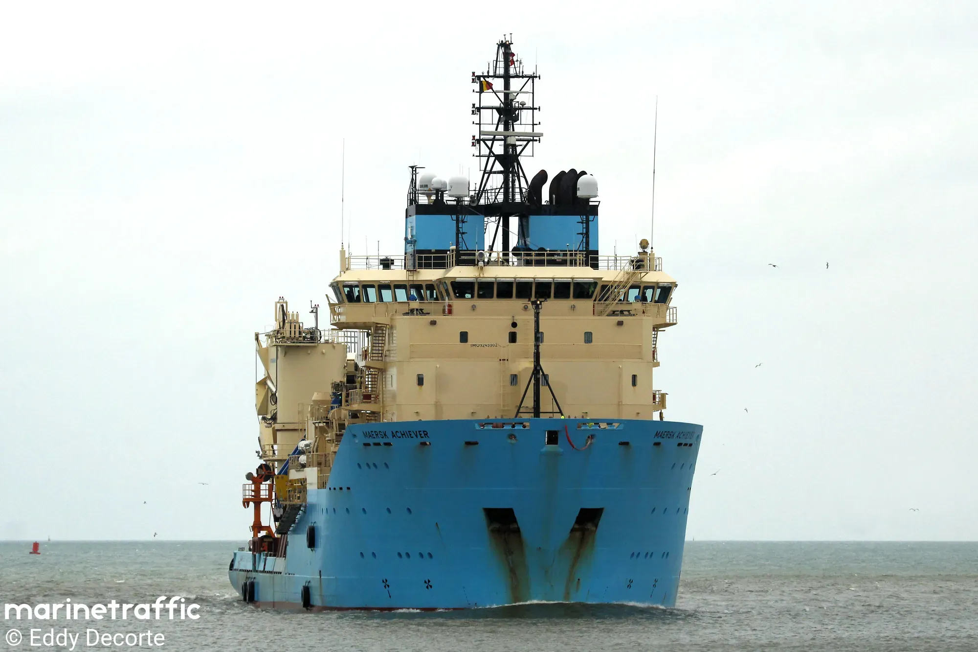 SKANDI ASSERTER 6