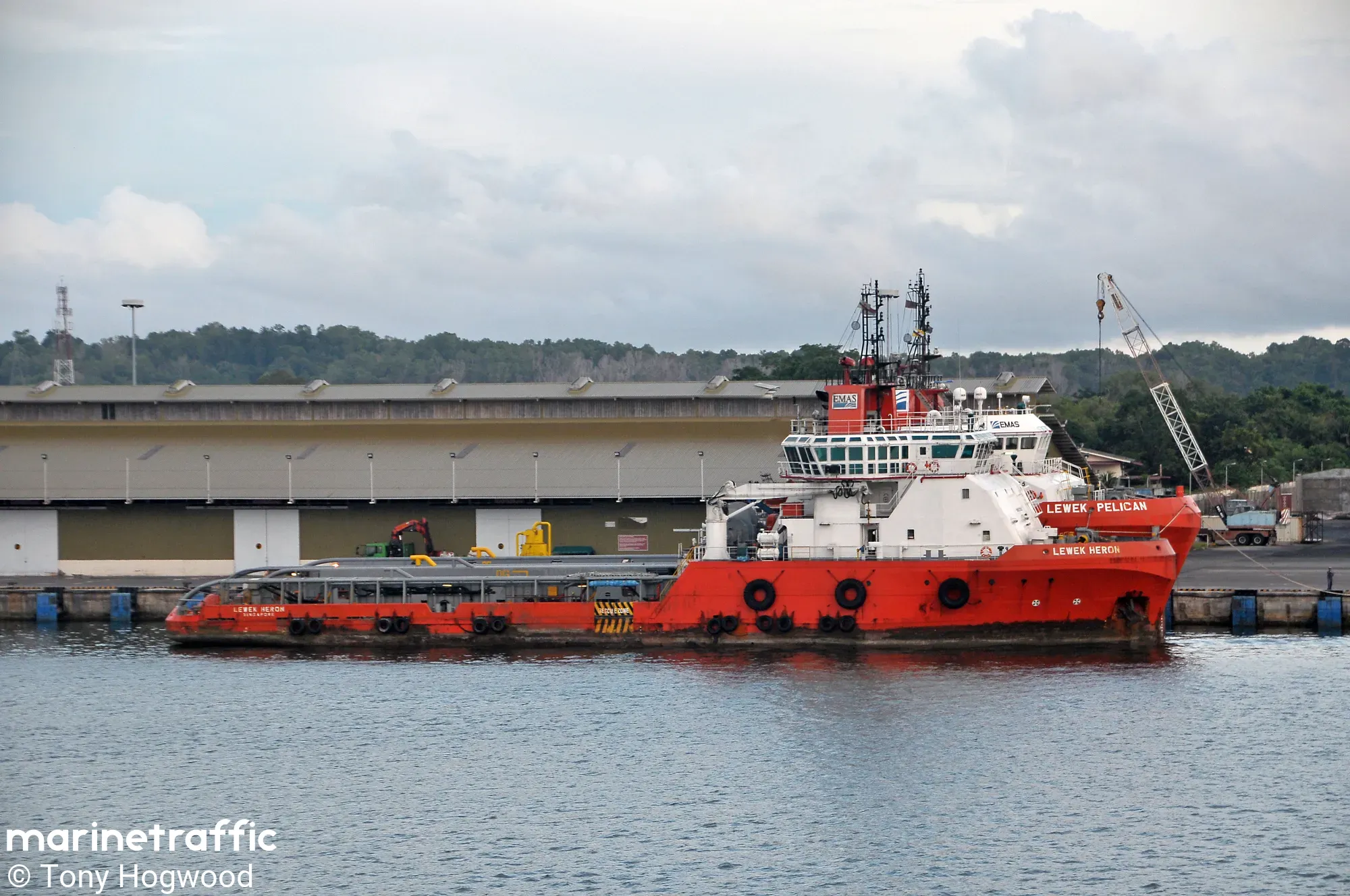 TC DRAGON 9