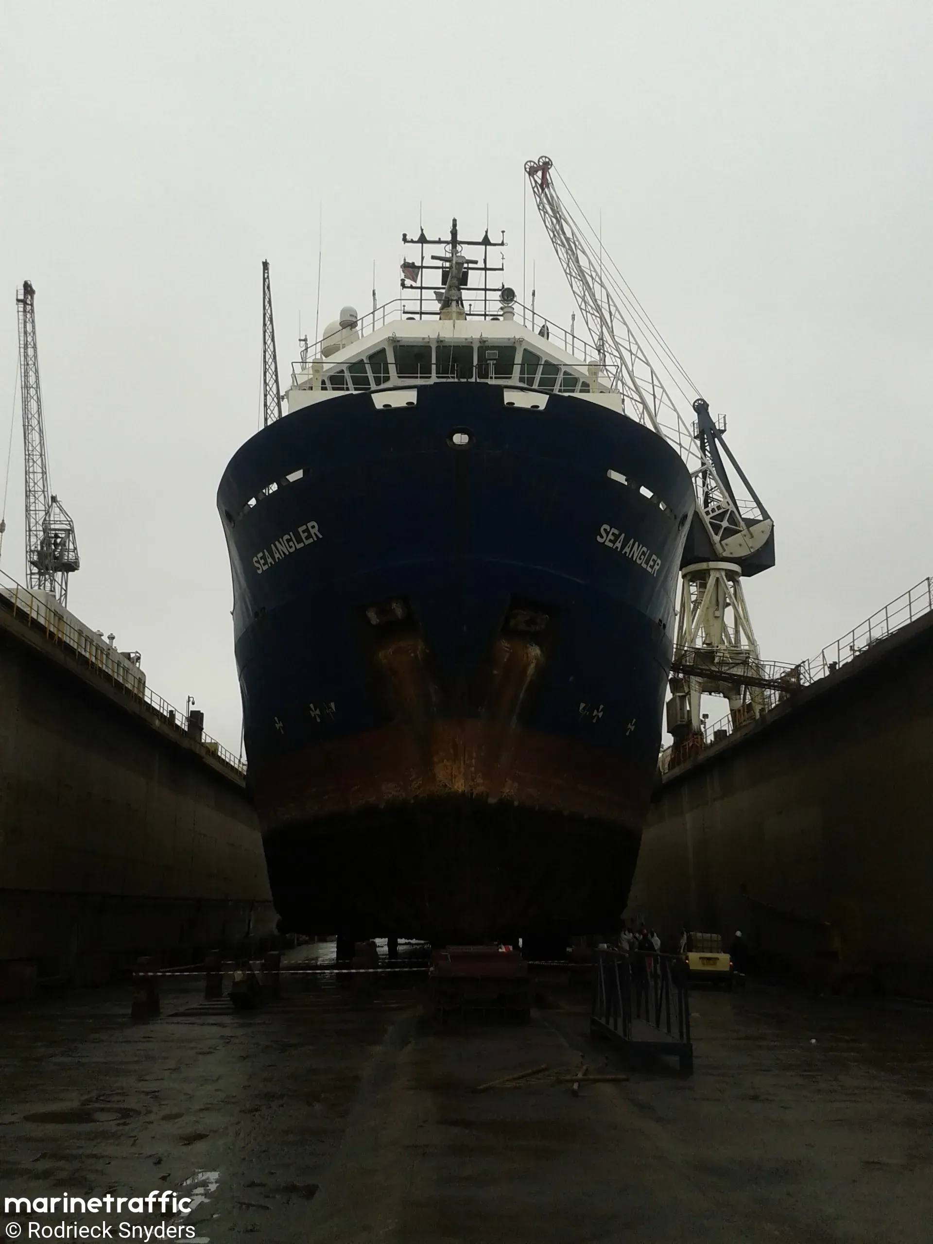SEA VEGA 4