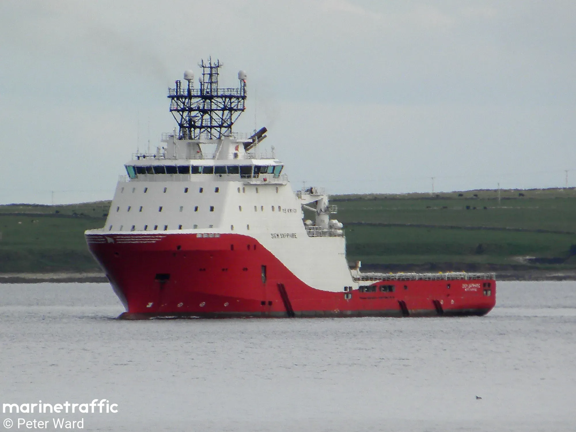 SEA1 SAPPHIRE 10
