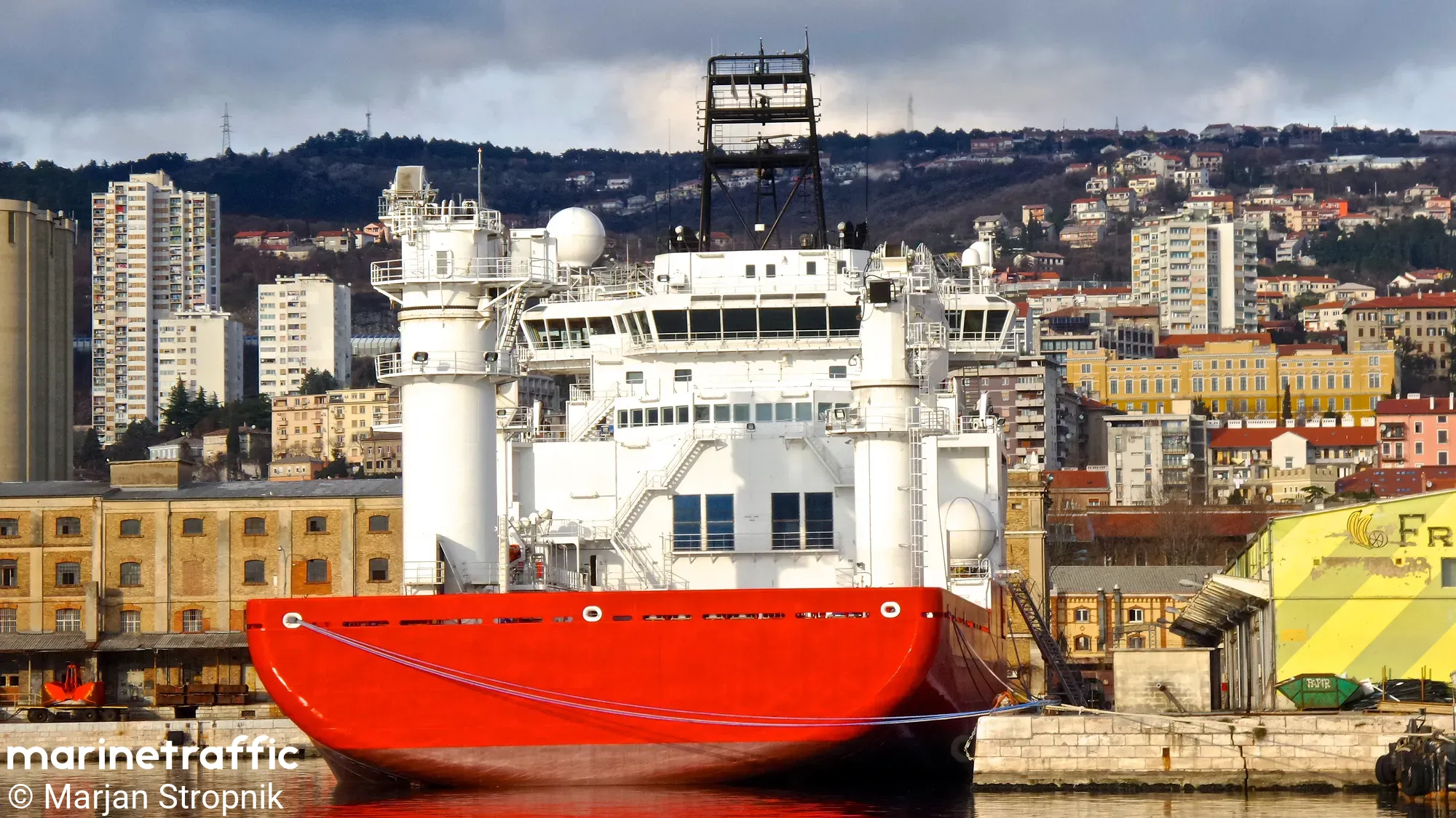 BOKA PRIDE 33