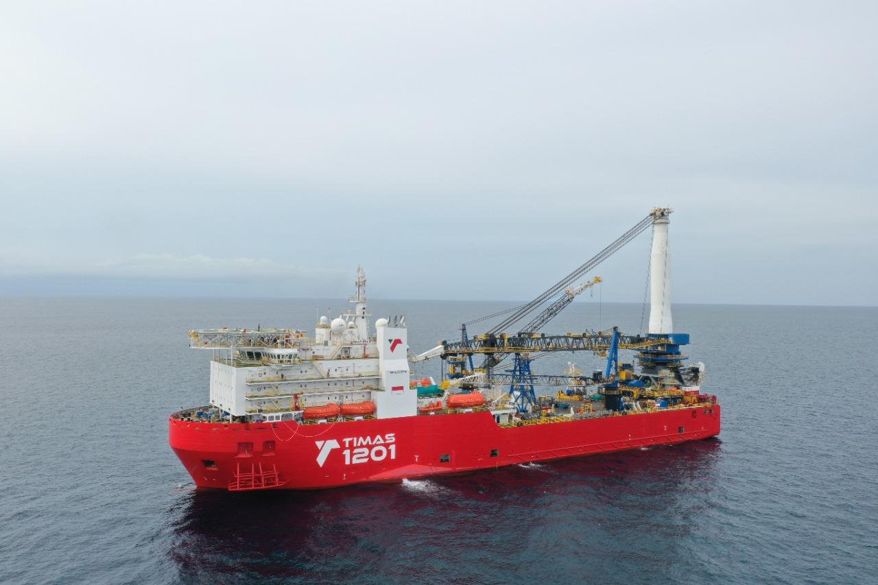 TIMAS 1201