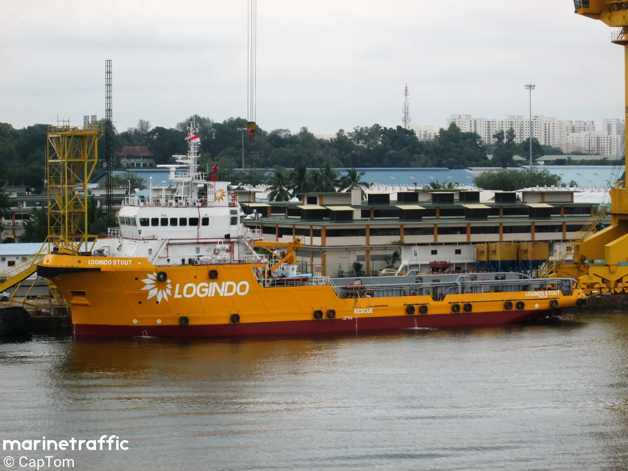 LOGINDO STOUT 2