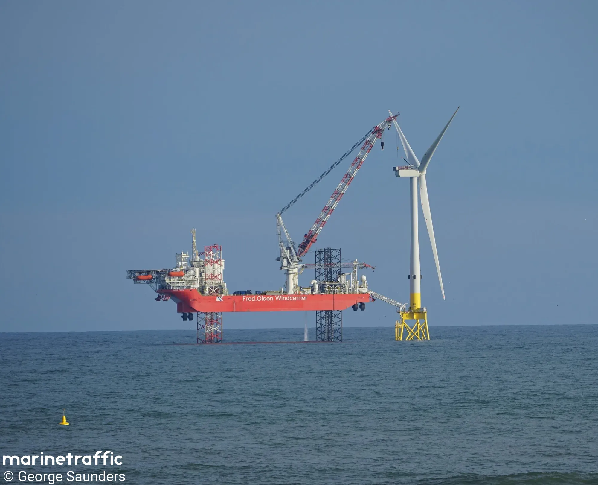 BLUE TERN 35