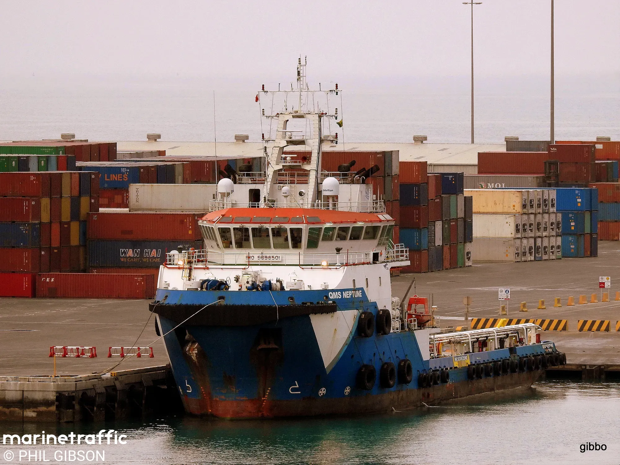 QMS NEPTUNE 3